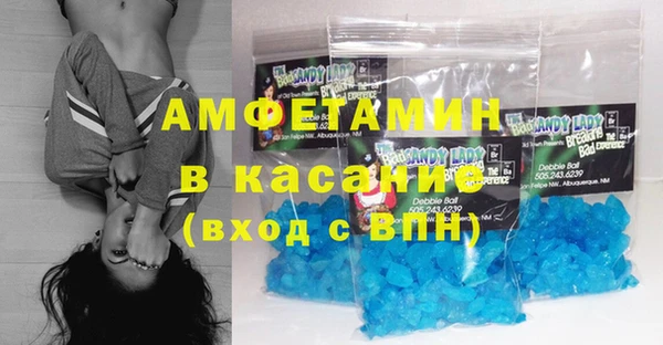 индика Арсеньев
