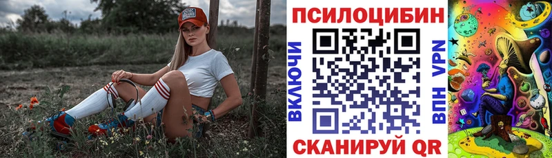 Псилоцибиновые грибы MAGIC MUSHROOMS  Камешково 
